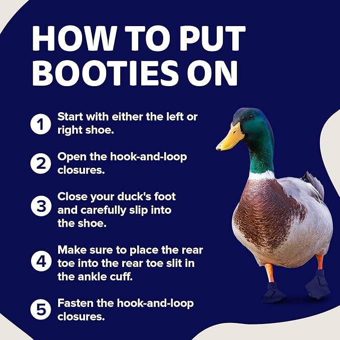 Duck Shoes for Injured Feet – Protective Neoprene Footwear for Ducks, Protective Shoes for Birds with Injured feet, Bumblefoot Relief - Medium, 3.5” Max. Inside Width - Navy