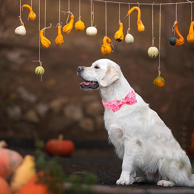 Dog Collar, Pink Pumpkin Print Adjustable Pet Collar Cute Cotton Soft Collars with Bow Tie Fall Metal Buckle Holiday Puppy Collars Boy&Girl Gift for X-Small Dogs