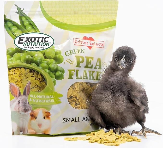 Exotic Nutrition Green Pea Flakes 3oz. - Healthy & Unique Treat - Rat, Degu, Prairie Dog, Chinchilla, Hedgehog, Parrot, Guinea Pig, Rabbit, Hamster