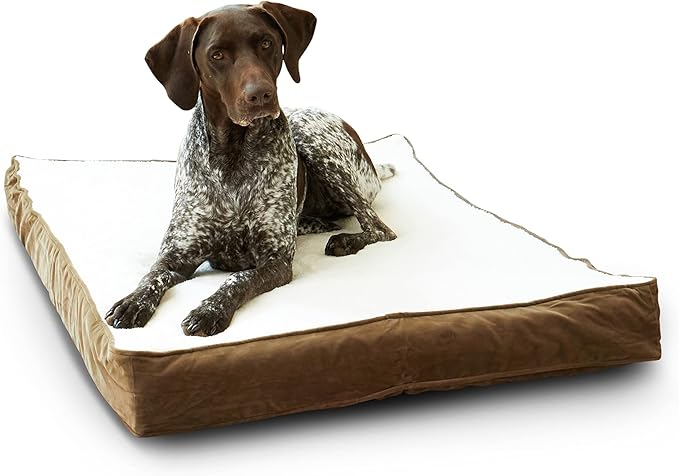 Happy Hounds Oscar Rectangle Orthopedic Foam Sherpa Dog Bed, Medium (42 x 30 in.), Mocha