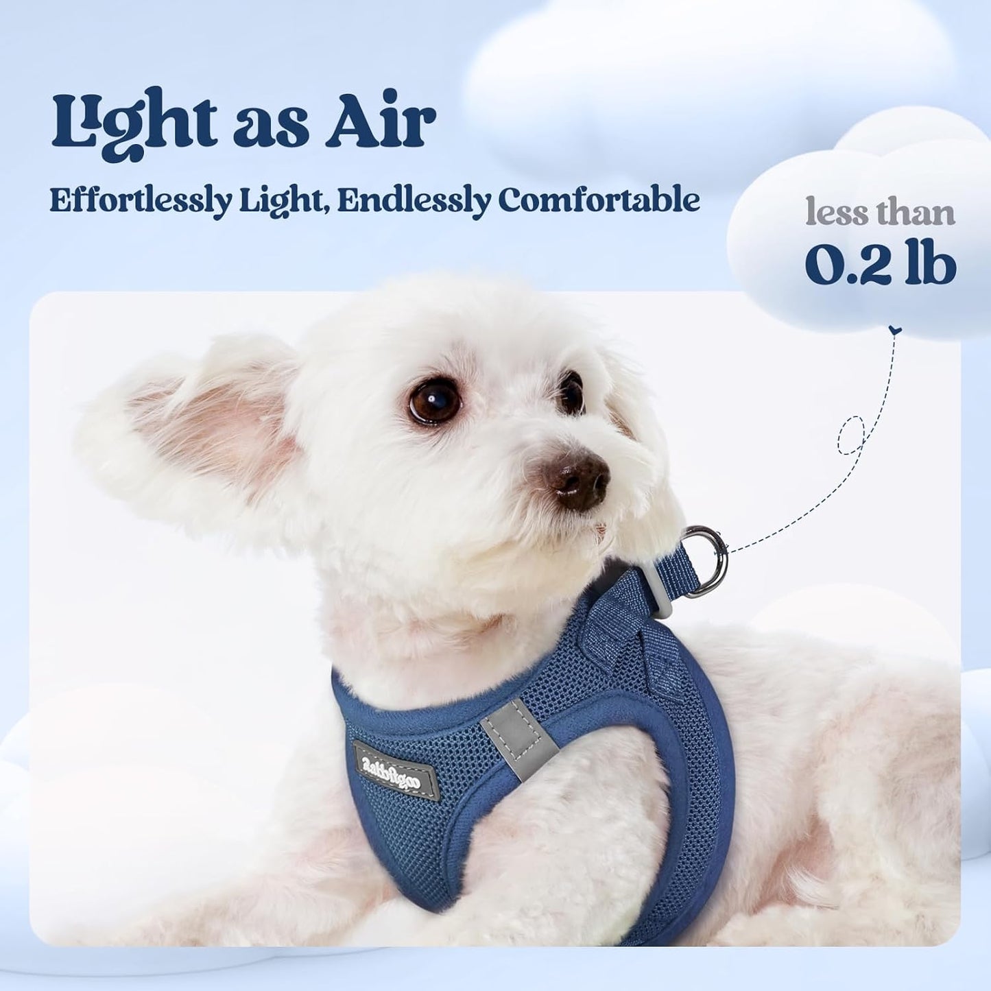 rabbitgoo Dog Harness Small Sized and Leash Set, Step in Soft Light Puppy Vest, Breathable Mesh Pet Harness, Reflective for Safe Outdoor Walking, Navy Blue XS