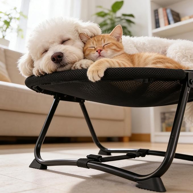 Elevated Pet Bed Furniture Lightweight Portable Gifts up Multifunctional Foldable Outdoor Accessory Pet Supplies, Mesh