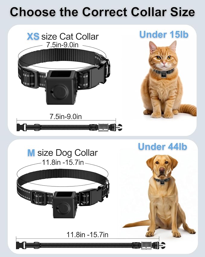 Cat Camera Collar 1080P HD – Lightweight Pet POV Action Cam with Night Vision, No WiFi Needed, XS-Size Pet Collar Camera