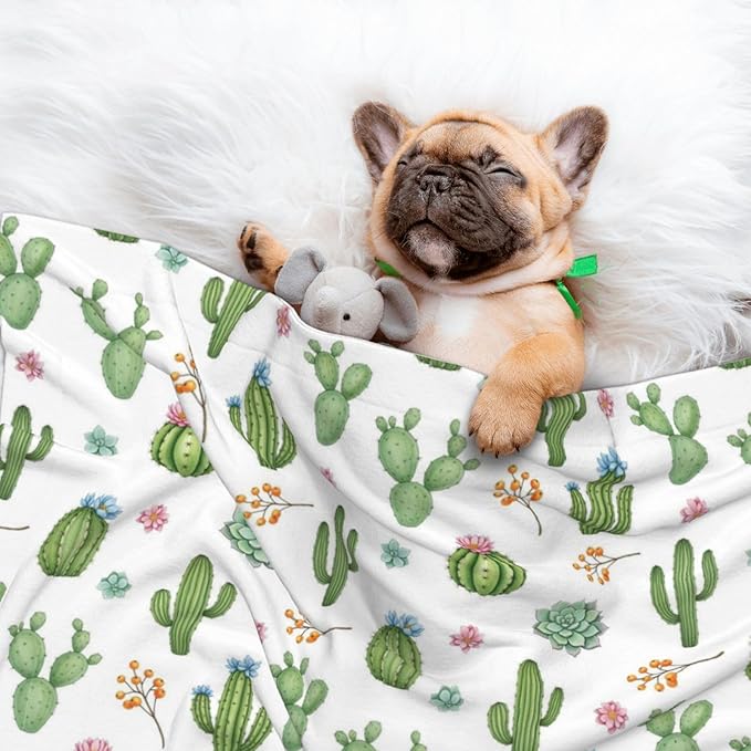 Double Sided Plush Pet Blanket with Cozy Dot Texture and Smooth Reverse, Watercolor Elements Succulent Plants Cactus, Reversible Throw for Dogs Cats on Couches Beds Crates
