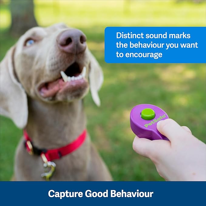 PetSafe Clik-R Training Tool - Positive Behavior Reinforcement - Ergonomic Design - Compact Finger Band - Daily Training Accessory - Clicker for Dogs & Cats - Purple