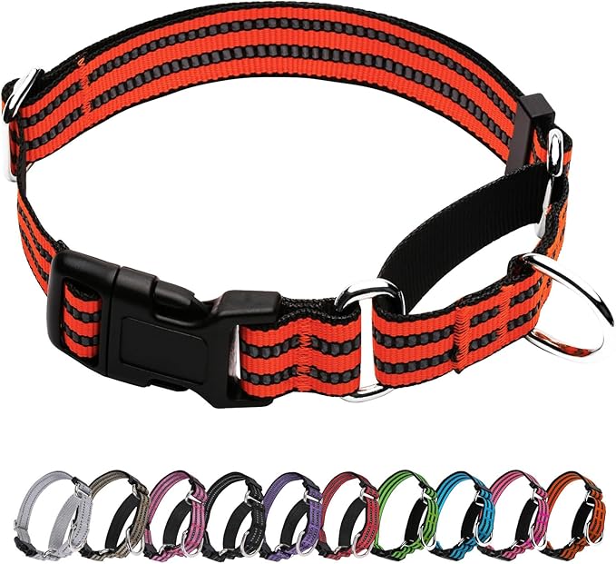Martingale Dog Collar, Adjustable Nylon Reflective Collar with Quick Release Buckle (Bright Orange, Medium)