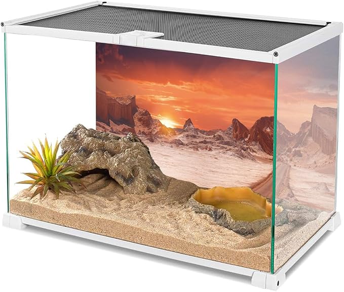 AWERT 48x18 inches Sun and Desert Terrarium Background Orange Reptile Habitat Background Durable Polyester Background