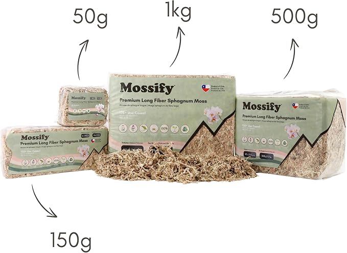 Mossify Premium Sphagnum Moss for Plants 500g, 1.1 lbs – Long Fiber Moss for Plants Indoor, Orchids, Terrariums, Gardening, Reptiles – Moisture Plant Moss for Propagation, Soil & Habitat Bedding