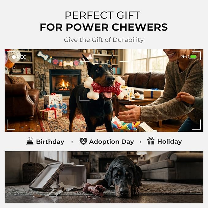 2-Pack Indestructible Dog Toys for Aggressive Chewers: Beef Flavored Hard Nylon Bone Chew Toys, Tough Dog Chew Toys for Large Dogs, Dog Toys to Keep Them Busy for Medium Large Breed, Red