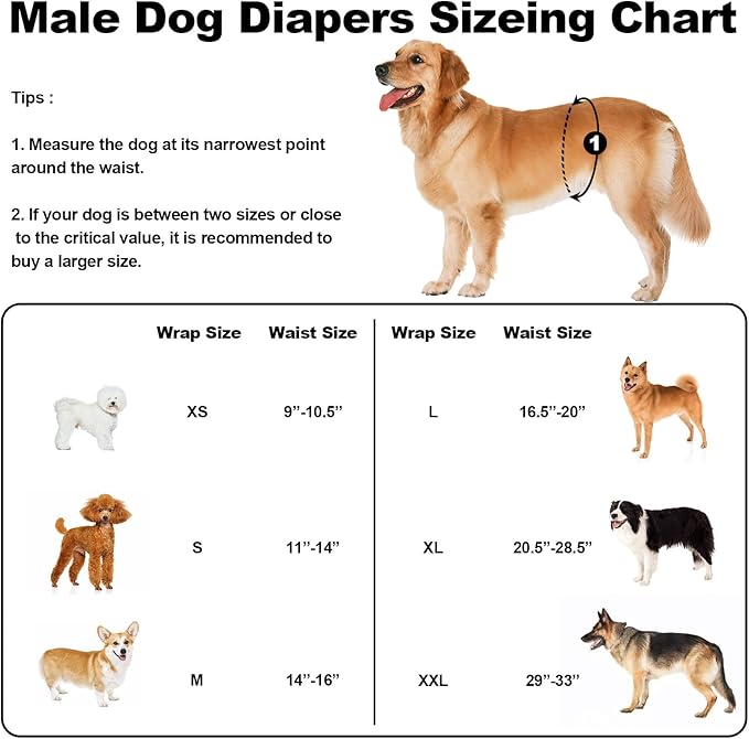 Washable Male Dog Diapers Reusable, Premium Belly Bands for Male Dogs, Pack of 3, High Absorbing Extra Extra Large Male Dog Pee Wraps for Puppy in Incontinence or Excitable Urination and Training(XXL)