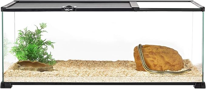 REPTI ZOO 20 Gallon Reptile Glass Terrarium Easy Clean Tank 30" x 12" x 12" Dual Top Sliding Top Cover for Reptile Snake Hamster Hedgehog Small Animals (Knock-Down)