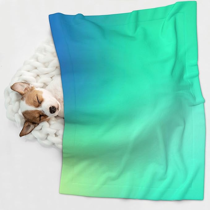 Waterproof Dog Blanket Soft Pet Blanket for Puppy Cat, Fleece Cat Throw Blankets for Furniture Bed Couch Sofa Reversible - Blue Green Colors