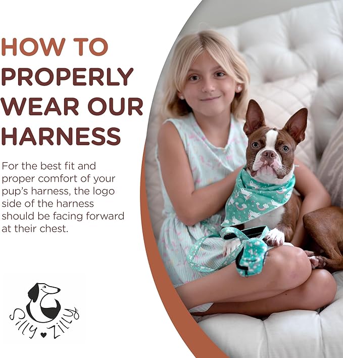 No Pull Harness and Leash Set - 6-in-1 Adjustable Vest Harness and Collars for Medium and Large Dogs. (Tile Unicorn, Extra Small)