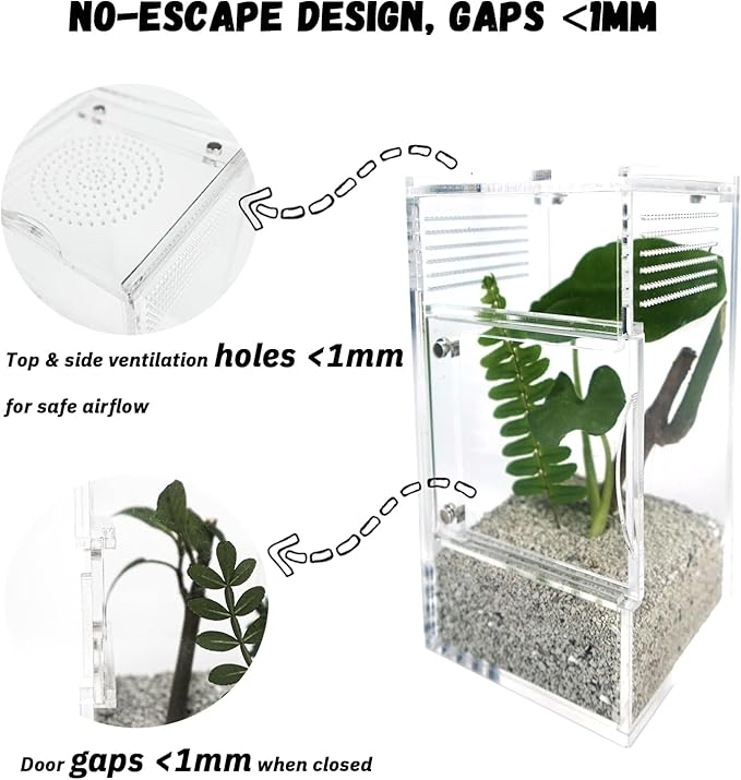 Jumping Spider Enclosure with Mushroom Ledges & Water Bowl Accessories, Acrylic Reptile Terrarium Habitat for Tarantulas, Bugs, Snails, Mantis, Small Insects, Dual Doors, No Assembly Required