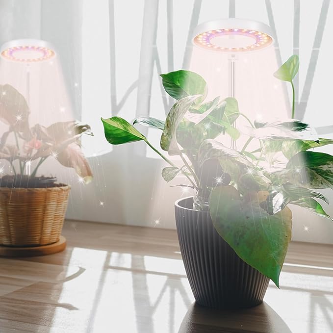 GooingTop LED Grow Light, Halo Plant Lamp for Indoor Plants Growing, White Low Light for Succulents Mini Small Plants Growth,Upgrade Timer 4/8/12/18 Hrs & Variable Spectrum,1 Pack