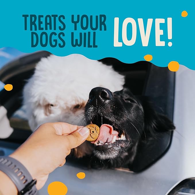 Earthborn Holistic EarthBites Crunchy Grain-Free Dog Treats with Salmon 10 oz