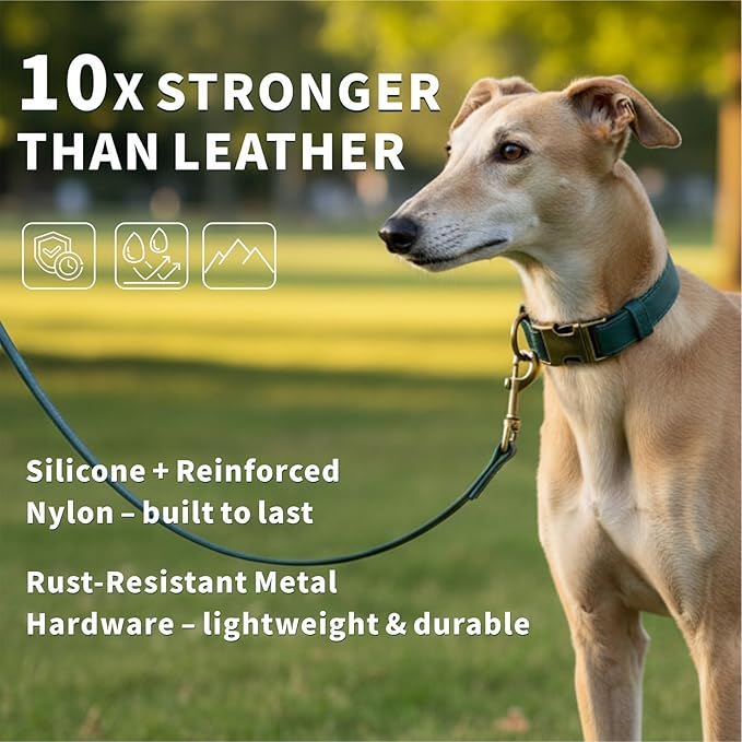 Dog Collar and Leash Set,Leather Silicone Waterproof Odor-Proof Dog Collar and Leash for Medium Dogs, Soft Flexible Dog Collars, Durable Thick Adjustable Pet Collar (Green, Medium (11.5-18.5 "Neck))
