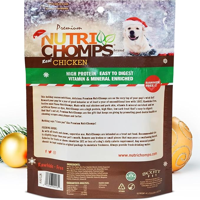 NutriChomps Dog Chews, 6 inch Braids, Mint Flavor, 4 count, Easy to Digest, Rawhide Free, Holiday Stocking Stuffer Treats, Christmas Gift for Dogs