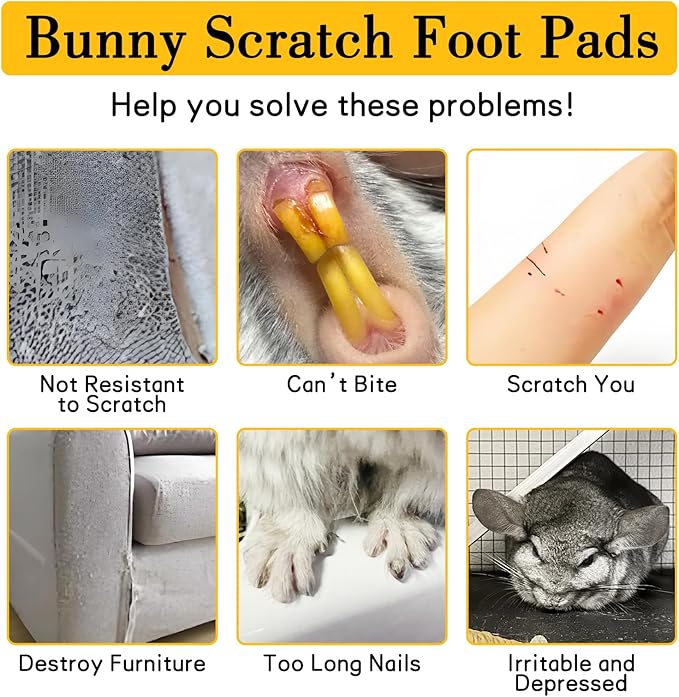 BNOSDM 2Pcs Chinchilla Grinding Claw Pads Hamster Scratch Foot Pad Natural Bunny Lava Stone for Teeth Rabbit Scratching Pad Chew Toy for Guinea Pig Ferret Rabbit Mouse(White)