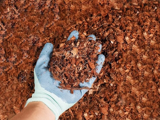 Coco Coir Husk Chips 2-Pack – 2.4 Cu. Ft. Compressed Coconut Coir Bricks, 10 lb. Natural Substrate for Indoor & Outdoor Use, Orchid Bark Alternative, Orchid Potting Mix, Indoor Plant Soil