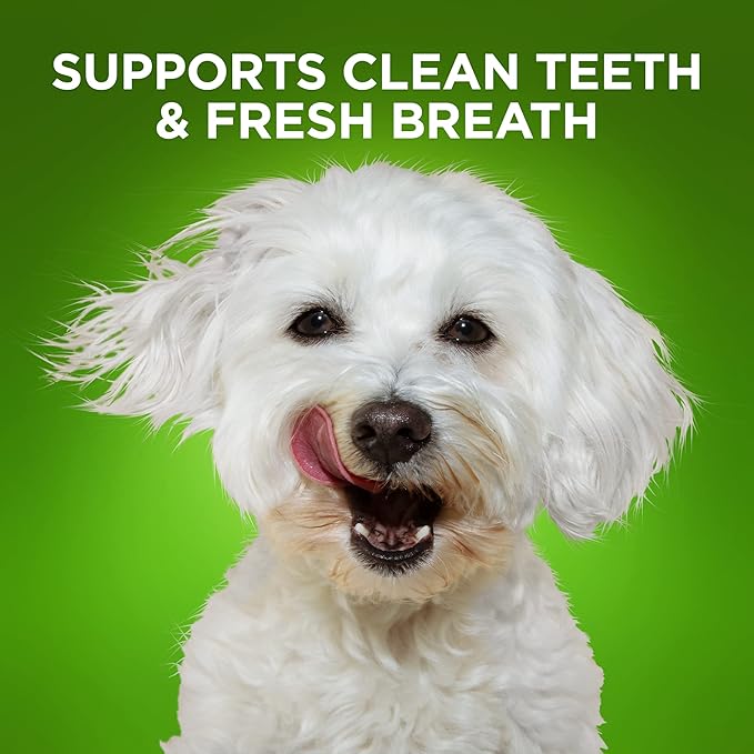Fruitables Bioactive Fresh Mouth Dental Chews, Small Dog Treats, Pet Supplies, Teeth Cleaning Treats, Bad Breath & Tartar Preventer, Dog Dental Chews, Puppy Snacks, Up to 25 lbs, 7.3oz