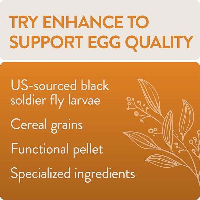 Enhance, Functional Poultry Treats for Egg Production & Quality, 3.5 lb (Pack of 2)