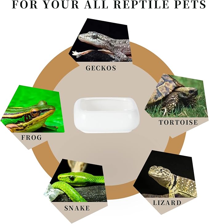 Reptile Food Bowls Ceramic Square Reptile Water Food Dish, Pet Food Bowl for Lizards, Young Bearded Dragons, Small Snakes, Gecko Tortoise Spider (White, Small 2-Pack)