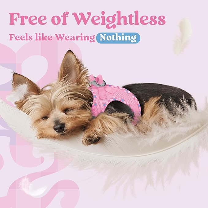 rabbitgoo Small Dog Harness, Step-in Soft Mesh Puppy Vest with Safety Buckle, Breathable Reflective Pet Harness for Extra Small Dogs, Pink & Plaid Trim XXS