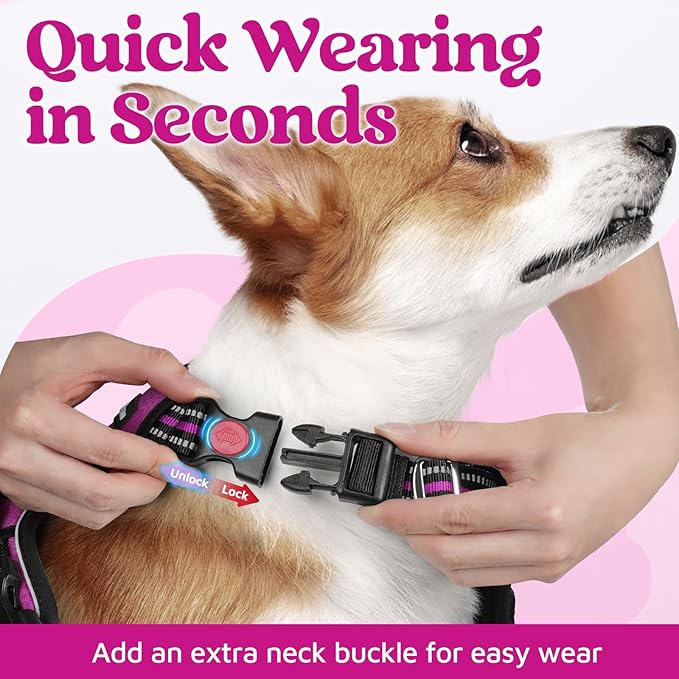 rabbitgoo Dog Harness Small Sized, No Pull Dog Vest with 3 Buckles, Adjustable Soft Padded Pet Harness with Easy Control Handle and Reflective Strips, Purple, S