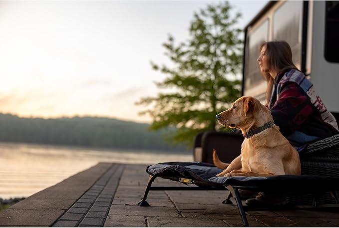 Momarsh Elevated Dog Cot with Washable Soft Pad & Folding Frame for Travel & Home Use | All in One Home Cot with Non Slip Feet | Large Portable Dog Bed | Perfect Padded Pet Bed System for Dogs
