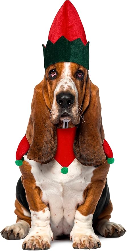 Rubies Costume Christmas Collection Pet Costume
