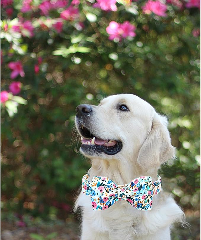 Lionheart glory Dog Collar Bow Collar Floral Dog Collar with Bow Tie Spring Summer Cute Collar Dog Boy or Girl Dog Collars Soft Durable Adjustable Dog Collars for Large Dogs, A:Flowers
