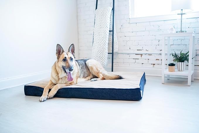 Petmate La-Z-Boy Bentley Orthopedic Foam XX-Large Dog Bed Midnight Blue (50 x 40 x 4 inches) for Dogs up to 125lbs with Supportive Foam Durable Removable Washable Cover