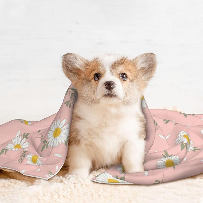 Reversible Pet Blanket for Easy Cleaning Maintenance, Shabby Chic Flower Daisy Roses Spring Season Theme Pink, Double Sided Plush Dot Design Means Double Use Between Washes for Convenience