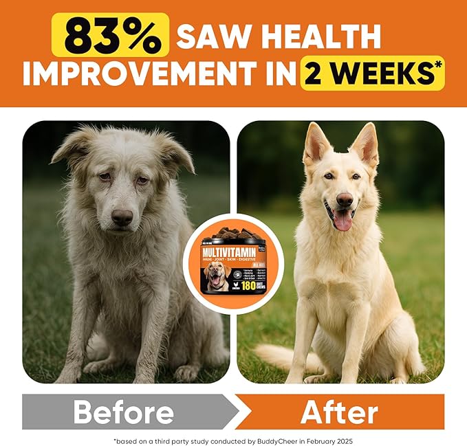 Dog multivitamin Soft Chews–Glucosamine, Chondroitin, MSM, Probiotics, Enzymes, Omega-3–Joint Support, Gut Health, Skin & Coat–Daily Maintenance & Preventive Care–Dog Supplements & Vitamins–180 Chews