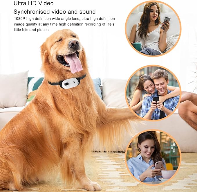 Gugxiom Cat Collar Camera, 1080P HD 2.4G Dog POV Collar Camera with APP, Pet Wearable Body Camera for Pet Supplies Camera (White)