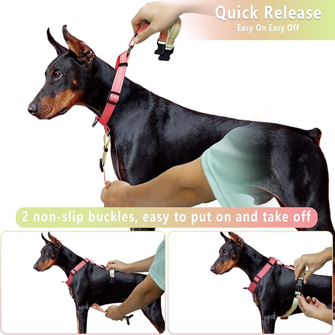 Roses&Poetry Puppy Dog Harness and Leash Set, No Pull Dog Harness Adjustable Reflective, Dog Halter Harnesses Comfort Padded Handle, Pet Harness for Training Outdoor Walking（Pink-M