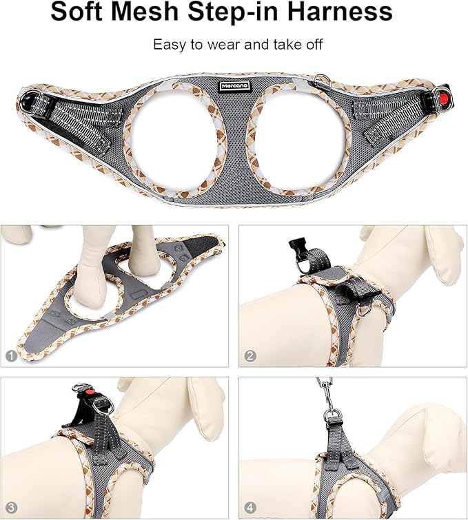 Mercano Soft Mesh Dog Harness and Leash Set, No-Chock Step-in Reflective Breathable Lightweight Easy Walk Vest Harnesses with Safety Buckle for Small Dogs, Cats (Grey, L)