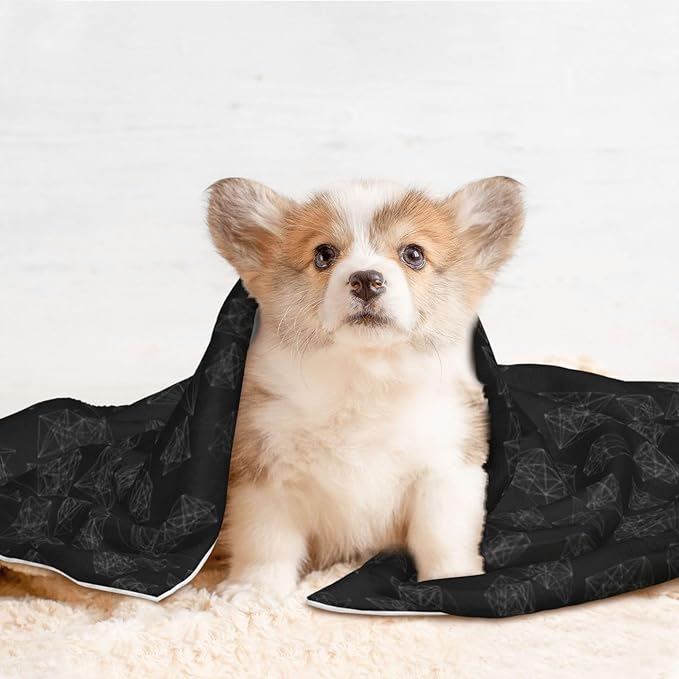 Pet Blanket for Indoor Outdoor Use, Black Marble Style, Two Sided Reversible Plush Mat with Bumpy Dot Texture for Patios Crates Portable Bed Companion