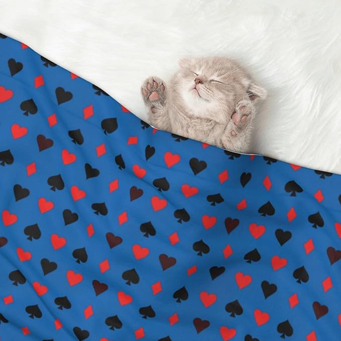 Dog and Cat Blanket in One, Poker Playing Cards, Double Sided Plush Throw with Raised Dot Pattern on One Side and Flat Velvet on Other for Variety