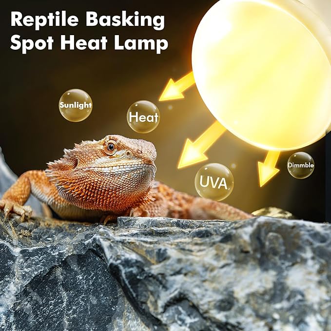 Reptile Heat Lamp, 150W Heat Lamp Bulbs for Reptiles 2 Pack, Amphibians Basking Heat Lamp Bulbs, UVA Daylight Basking Light for Reptiles, Bearded Dragon, Lizard, Turtle, Chicken