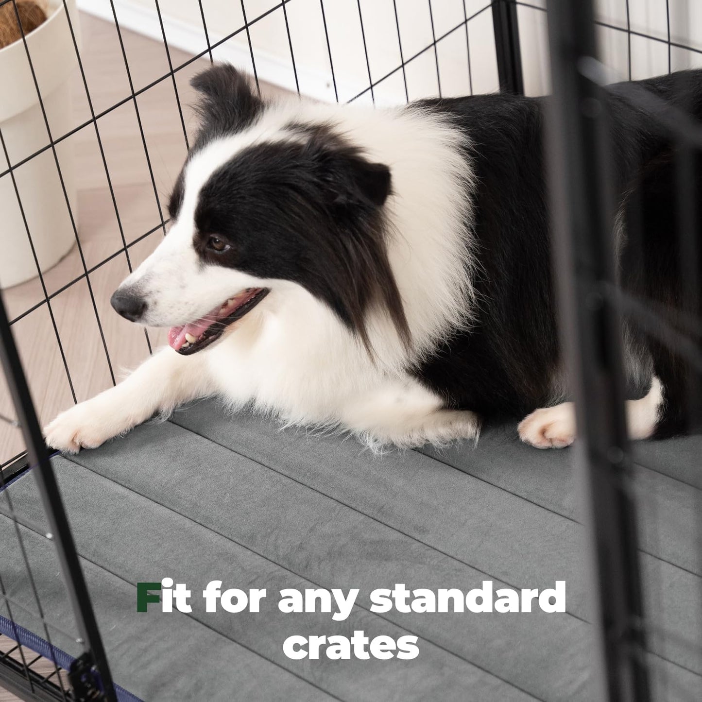 BALANCE Dog Crate Pad, Dog Foam Crate Mat Kennel Pad, Washable Water-Resistant Pet Bed Flat Dogs Cage Mat for Medium Dogs