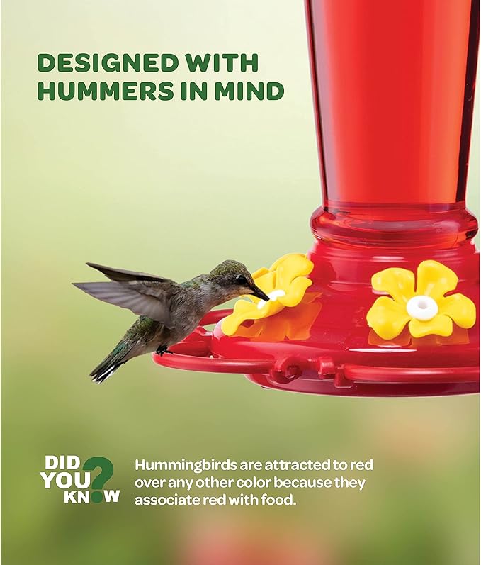 Hummingbird Feeder 10 oz Glass Hummingbird Feeders for Outdoors, with Built-in Ant Guard - Circular Perch with 5 Feeding Ports - Wide Mouth for Easy Filling/2 Part Base for Easy Cleaning