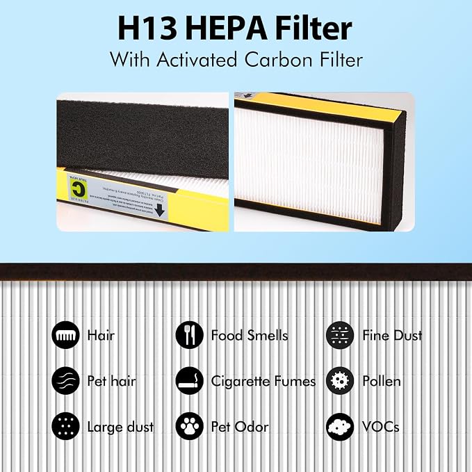 FLT5000 Filter-C True HEPA Replacement Filter