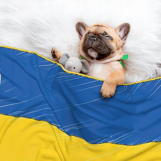 Double Sided Plush Pet Blanket with Cozy Dot Texture and Smooth Reverse, Abstract Ukraine Flag, Reversible Throw for Dogs Cats on Couches Beds Crates