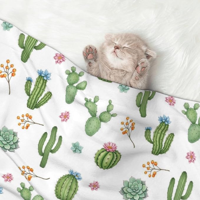 Pet Blanket for Car Rides Vet Visits, Watercolor Elements Succulent Plants Cactus, Two Sided Reversible Plush Design with Bumpy Dot Side Offers Comfort Home Piece On Go Travel