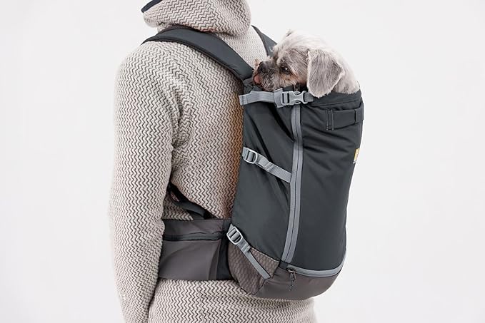 Ruffwear, Hitch Hiker Dog Backpack Carrier, Hands-Free Dog Carrier Backpack with Breathable Mesh, EVA Foam Padding, Durable Polyester, Lightweight Design for Small Dogs, Basalt Gray, Small