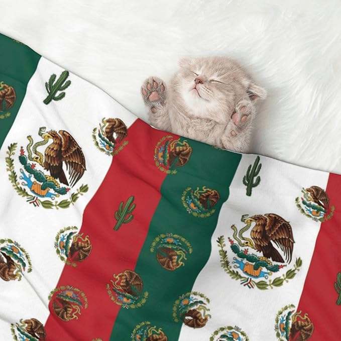 Two Sided Plush Pet Blanket for Crates Carriers Home Use, Mexican Flag, Reversible Throw with Cozy Dot Fabric and Silky Reverse for Small Large Pets