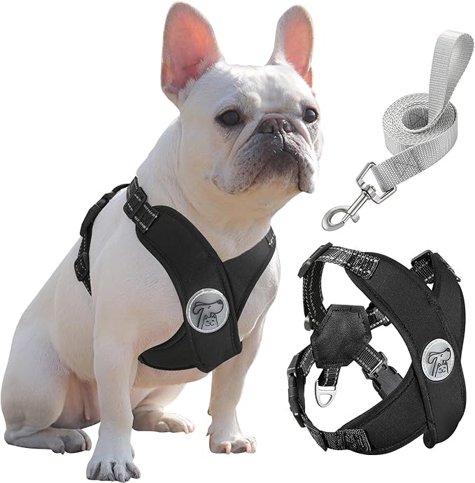 Pawaboo Small Dog Harness and Leash Set, Puppy Harness X-Frame No Pull No Choke, Dog Vest Harnesses Adjustable for Small Medium Sized Dogs, Soft Breathable Pet Harnesses for Walking Outing (L, Black)