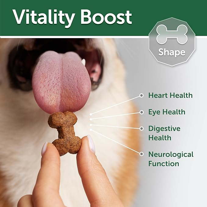 Nature's Protection Grain Free Low Calorie Dog Treats - Training Treats for Small, Medium & Large Breed Adult Dogs with Light Fur (Superior Care - Lamb, 5.29 oz)